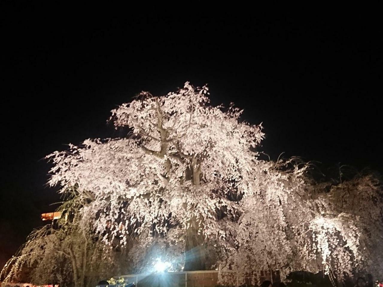 Hostel Kyoto Arashiyama Muko Екстериор снимка