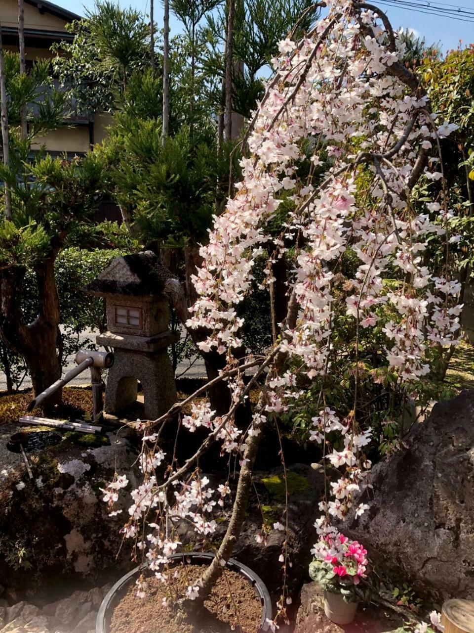Hostel Kyoto Arashiyama Muko Екстериор снимка